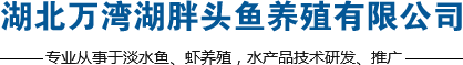 湖北胖头鱼厂家